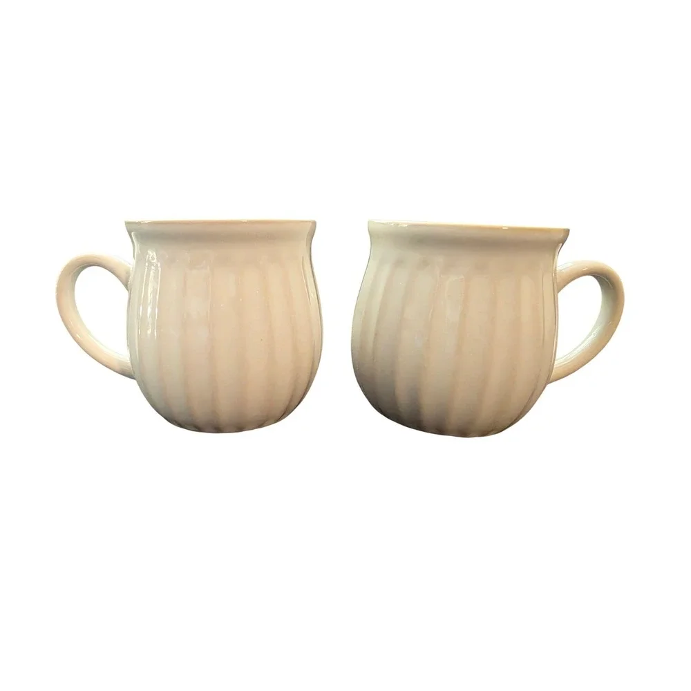 Set of 2 The Pioneer Woman Cream Stoneware Coffee Mugs Farmhouse Cottagecore